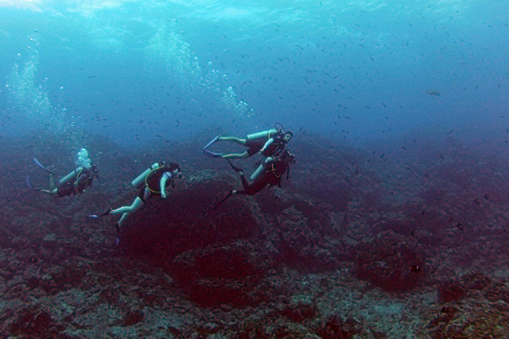 Group of Divers at Devil Pinnacle